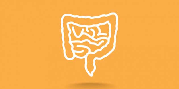 &Epsilon;&nu;&tau;&epsilon;&rho;&iota;&kappa;ή &chi;&lambda;&omega;&rho;ί&delta;&alpha; &ndash; &Tau;&omicron; &kappa;&lambda;&epsilon;&iota;&delta;ί &tau;&eta;&sigmaf; &upsilon;&gamma;&epsilon;ί&alpha;&sigmaf;