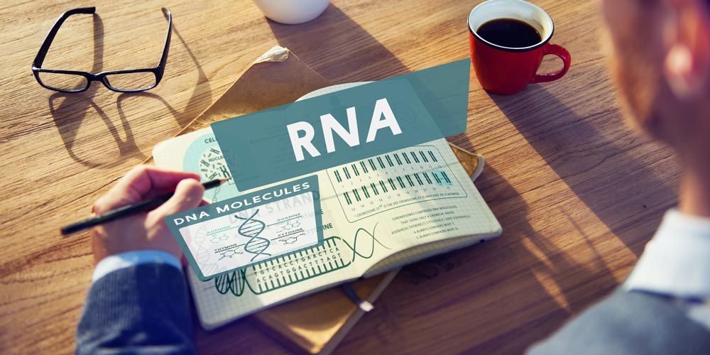 RNA kai lipokyttara