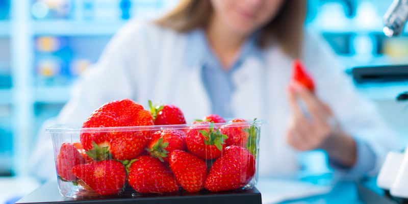 &Phi;&upsilon;&tau;&iota;&kappa;έ&sigmaf; ί&nu;&epsilon;&sigmaf;: I&sigma;&tau;&omicron;&rho;ί&alpha; &kappa;&alpha;&iota; &epsilon;&xi;έ&lambda;&iota;&xi;&eta;