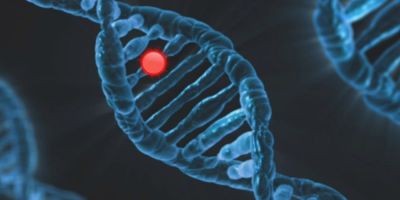 genetiki provlepsi anosokyttaron flegmonodon proteinon kai sysxetisis metaksy tis enterikis mikroxloridas kai tis xap