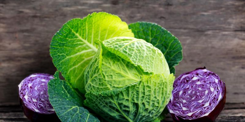 &Gamma;&iota;&alpha;&tau;ί &tau;&omicron; &lambda;ά&chi;&alpha;&nu;&omicron; &theta;&epsilon;&omega;&rho;&epsilon;ί&tau;&alpha;&iota; &upsilon;&pi;&epsilon;&rho;&tau;&rho;&omicron;&phi;ή;