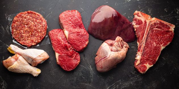 carnivore diatrofi