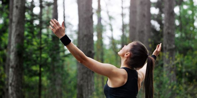 &Eta; &nu;&eta;&sigma;&tau;&epsilon;ί&alpha; &gamma;&iota;&alpha; &tau;&eta;&nu; &kappa;&alpha;&rho;&delta;&iota;ά, &tau;&omicron;&nu; &delta;&iota;&alpha;&beta;ή&tau;&eta; &kappa;&alpha;&iota; &tau;&omicron;&nu; &kappa;&alpha;&rho;&kappa;ί&nu;&omicron;