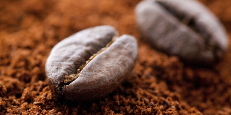 &Kappa;&alpha;&phi;έ&sigmaf; &kappa;&alpha;&iota; &kappa;&alpha;&rho;&kappa;ί&nu;&omicron;&sigmaf; &tau;&omicron;&upsilon; &pi;&rho;&omicron;&sigma;&tau;ά&tau;&eta;