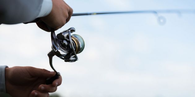 &Kappa;ά&nu;&epsilon;&iota; &sigma;&upsilon;&chi;&nu;ά &zeta;&eta;&mu;&iota;ά &eta; &tau;&rho;ά&tau;&alpha; &tau;&omicron;&upsilon; &psi;&alpha;&rho;ά