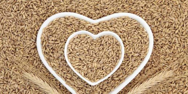 &Kappa;&alpha;&rho;&delta;&iota;ά &kappa;&alpha;&iota; &Phi;&upsilon;&tau;&iota;&kappa;έ&sigmaf; Ί&nu;&epsilon;&sigmaf;