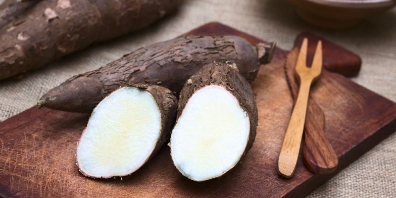 Cassava