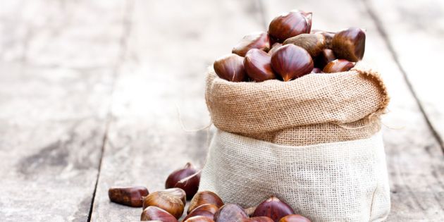 &Kappa;ά&sigma;&tau;&alpha;&nu;&omicron;: Έ&nu;&alpha; &sigma;&nu;&alpha;&kappa; &mu;&epsilon; &pi;&omicron;&lambda;&lambda;ά &omicron;&phi;έ&lambda;&eta;