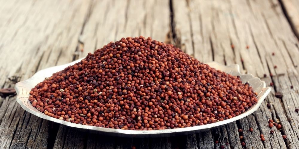 finger millet