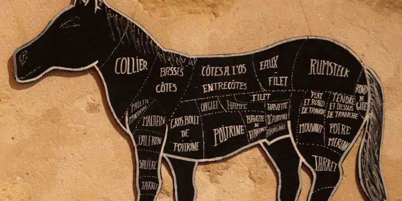 &Kappa;&rho;έ&alpha;&sigmaf; &alpha;&lambda;ό&gamma;&omicron;&upsilon; &alpha;&kappa;ό&mu;&alpha; &kappa;&alpha;&iota; &sigma;&epsilon; &nu;&omicron;&sigma;&omicron;&kappa;&omicron;&mu;&epsilon;ί&alpha; &kappa;&alpha;&iota; &sigma;&chi;&omicron;&lambda;&epsilon;ί&alpha;!