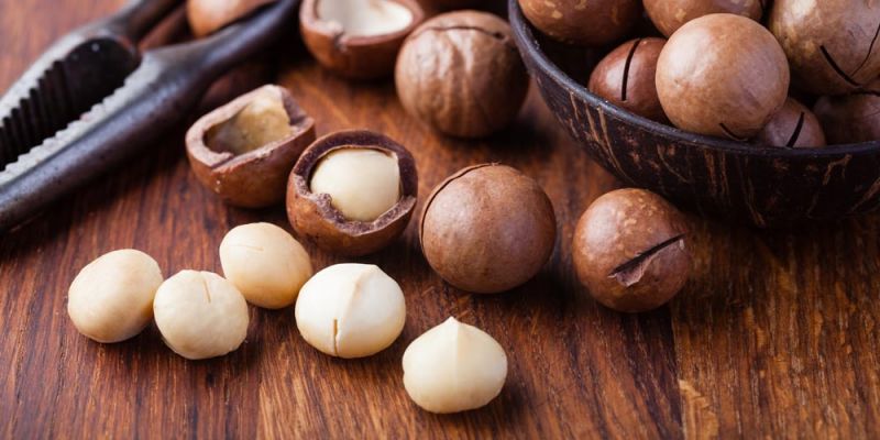 &Mu;&alpha;&kappa;&alpha;&nu;&tau;έ&mu;&iota;&alpha; &sigma;&tau;&eta; &mu;&epsilon;ί&omega;&sigma;&eta; &tau;&eta;&sigmaf; &chi;&omicron;&lambda;&eta;&sigma;&tau;&epsilon;&rho;ό&lambda;&eta;&sigmaf;