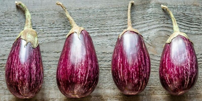 eggplant melitzana