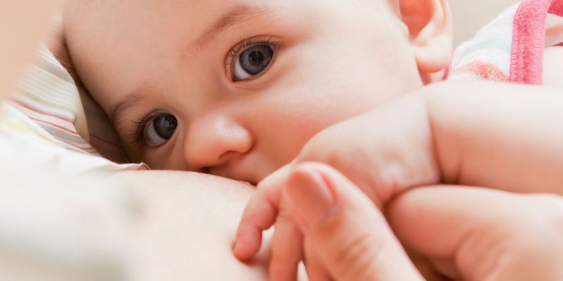 &Mu;&eta;&tau;&rho;&iota;&kappa;ό&sigmaf; &theta;&eta;&lambda;&alpha;&sigma;&mu;ό&sigmaf;, &pi;&eta;&gamma;ή &zeta;&omega;ή&sigmaf;