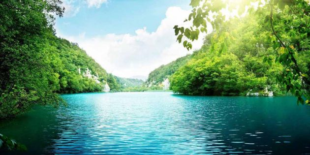 &Nu;&epsilon;&rho;ό&hellip;&omicron; &lambda;&epsilon;&upsilon;&kappa;ό&sigmaf; &chi;&rho;&upsilon;&sigma;ό&sigmaf;