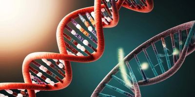 gonidia geusis gia diamorfosi diatrofikon protimiseon