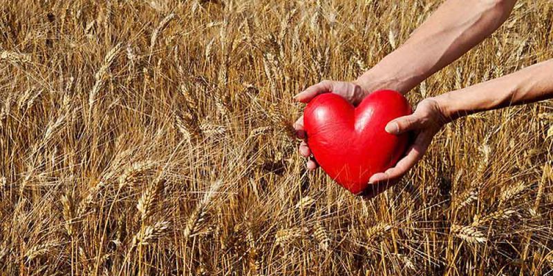 &Omicron; &sigma;&pi;&omicron;&upsilon;&delta;&alpha;ί&omicron;&sigmaf; &rho;ό&lambda;&omicron;&sigmaf; &tau;&omega;&nu; &phi;&upsilon;&tau;&iota;&kappa;ώ&nu; &iota;&nu;ώ&nu; &sigma;&tau;&eta; &zeta;&omega;ή &mu;&alpha;&sigmaf;