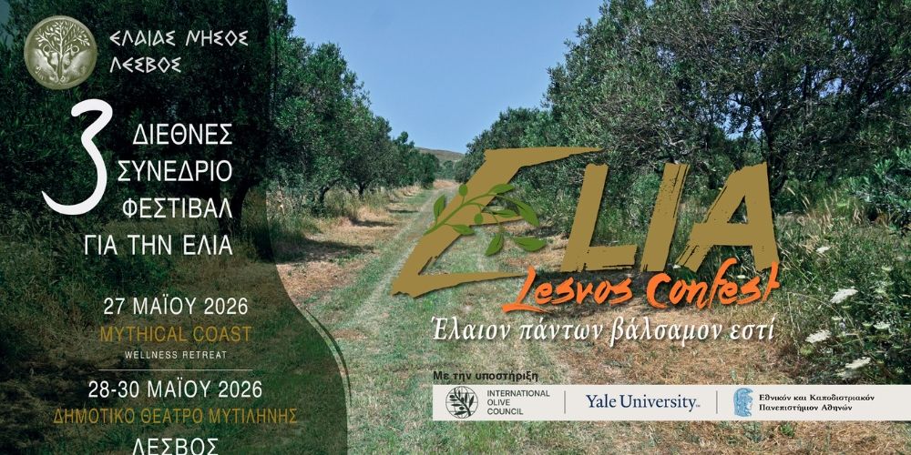 3o elia lesvos festival gia thn elia