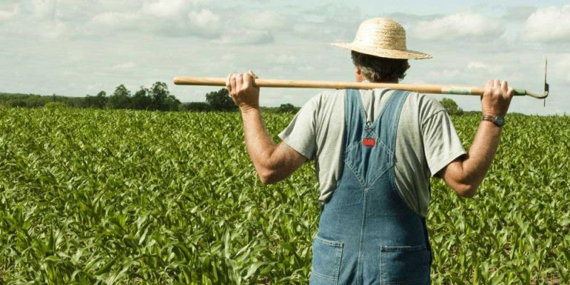 &Pi;&alpha;&gamma;&kappa;ό&sigma;&mu;&iota;&alpha; &Eta;&mu;έ&rho;&alpha; &Delta;&iota;&alpha;&tau;&rho;&omicron;&phi;ή&sigmaf; "&Kappa;&omicron;&iota;&nu;&omega;&nu;&iota;&kappa;ή &Pi;&rho;&omicron;&sigma;&tau;&alpha;&sigma;ί&alpha; &kappa;&alpha;&iota; &Gamma;&epsilon;&omega;&rho;&gamma;ί&alpha; :  &Sigma;&pi;ά&zeta;&omicron;&nu;&tau;&alpha;&sigmaf; &tau;&omicron; &phi;&alpha;ύ&lambda;&omicron; &kappa;ύ&kappa;&lambda;&omicron; &tau;&eta;&sigmaf; &phi;&tau;ώ&chi;&epsilon;&iota;&alpha;&sigmaf; &sigma;&tau;&iota;&sigmaf; &alpha;&gamma;&rho;&omicron;&tau;&iota;&kappa;έ&sigmaf; &pi;&epsilon;&rho;&iota;&omicron;&chi;έ&sigmaf;"