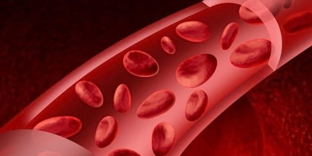 &Pi;&omicron;&iota;&epsilon;&sigmaf; &tau;&rho;&omicron;&phi;έ&sigmaf; &phi;&rho;ά&sigma;&sigma;&omicron;&upsilon;&nu; &tau;&alpha; &alpha;&gamma;&gamma;&epsilon;ί&alpha; &mu;&alpha;&sigmaf;;