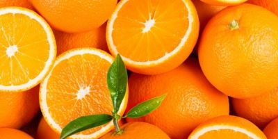 Portokali diatrofiki aksia