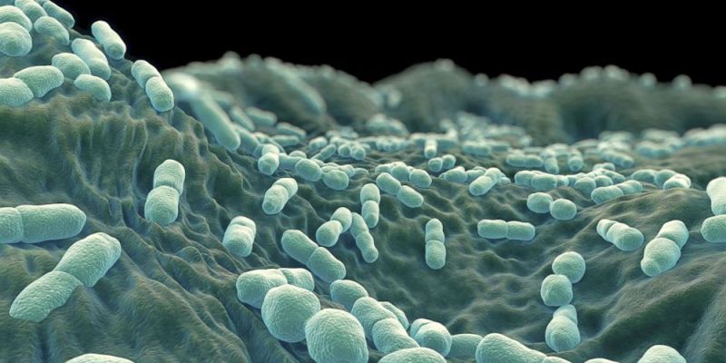 &Pi;ό&sigma;&alpha; &xi;έ&rho;&epsilon;&tau;&epsilon; &gamma;&iota;&alpha; &tau;&eta; &lambda;&iota;&sigma;&tau;έ&rho;&iota;&alpha;;