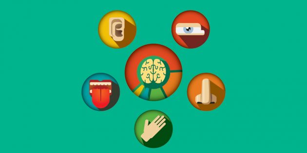 egkefalos kai aisthiseis