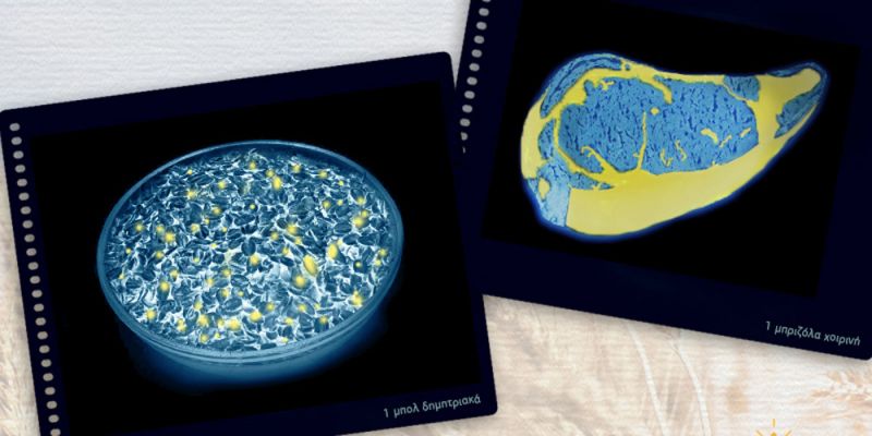 &Pi;&rho;&omicron;&sigma;&omicron;&chi;ή &sigma;&tau;&alpha; &laquo;&kappa;&rho;&upsilon;&mu;&mu;έ&nu;&alpha;&raquo; &lambda;&iota;&pi;&alpha;&rho;ά