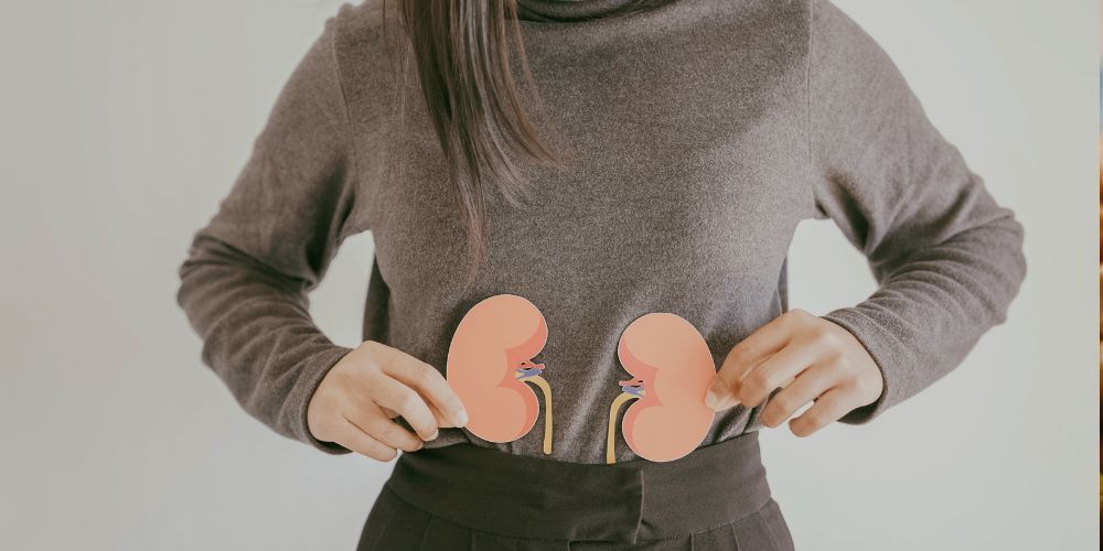 proteini orismos kai istoriki anadromi