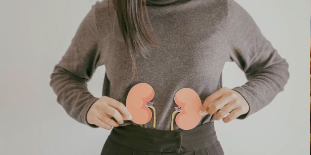 proteini orismos kai istoriki anadromi