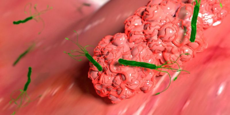 proviotika kai elikovaktiridio