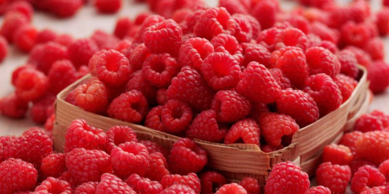 Raspberry ketone ή &pi;&omicron;&lambda;&lambda;ή &delta;&iota;&alpha;&phi;ή&mu;&iota;&sigma;&eta; &gamma;&iota;&alpha; &tau;&omicron; &tau;ί&pi;&omicron;&tau;&alpha;;