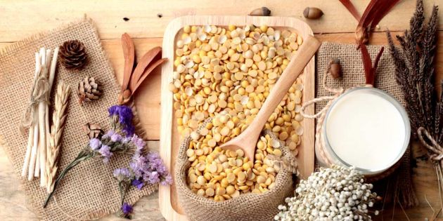 &Sigma;ό&gamma;&iota;&alpha; &amp; &Kappa;&alpha;&rho;&kappa;ί&nu;&omicron;&sigmaf; &tau;&omicron;&upsilon; &mu;&alpha;&sigma;&tau;&omicron;ύ