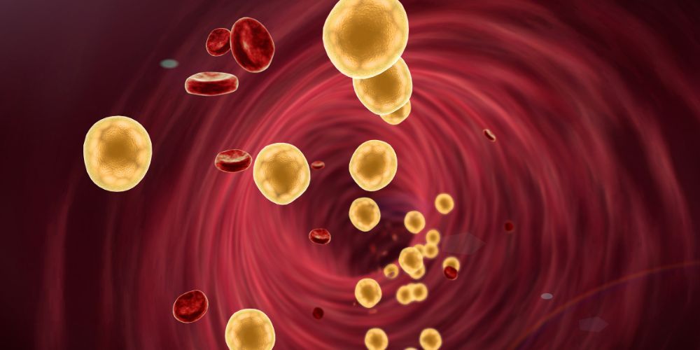 ta meiomena epipeda hdl xolisterolis ypodilonoun okseidotiko stres ston diaviti typou 2