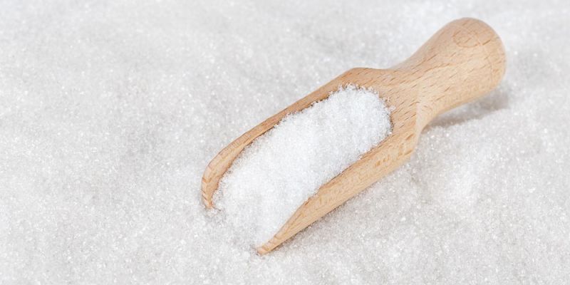 &Tau;&alpha; &tau;&rho;ί&alpha; &lambda;&epsilon;&upsilon;&kappa;ά &Delta;&eta;&lambda;&eta;&tau;ή&rho;&iota;&alpha; &tau;&eta;&sigmaf; &delta;&iota;&alpha;&tau;&rho;&omicron;&phi;ή&sigmaf; &mu;&alpha;&sigmaf;.