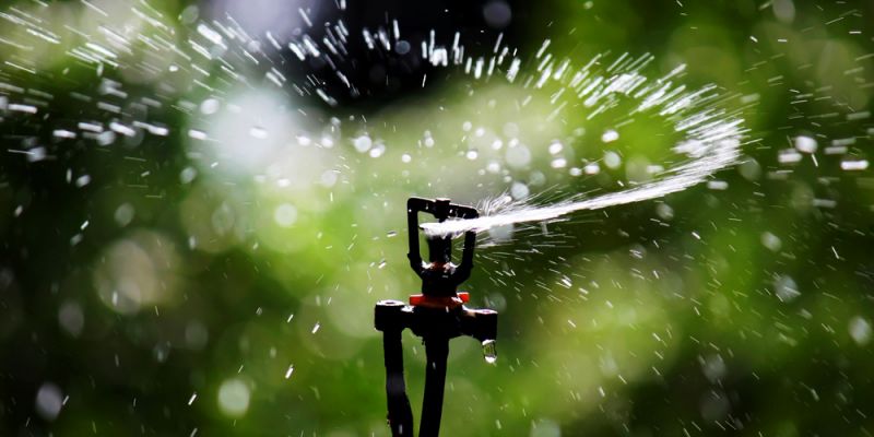 &Theta;&alpha;&lambda;&alpha;&sigma;&sigma;&iota;&nu;ό &nu;&epsilon;&rho;ό &ndash; &tau;&omicron; &mu;έ&lambda;&lambda;&omicron;&nu; &tau;&eta;&sigmaf; ά&rho;&delta;&epsilon;&upsilon;&sigma;&eta;&sigmaf;