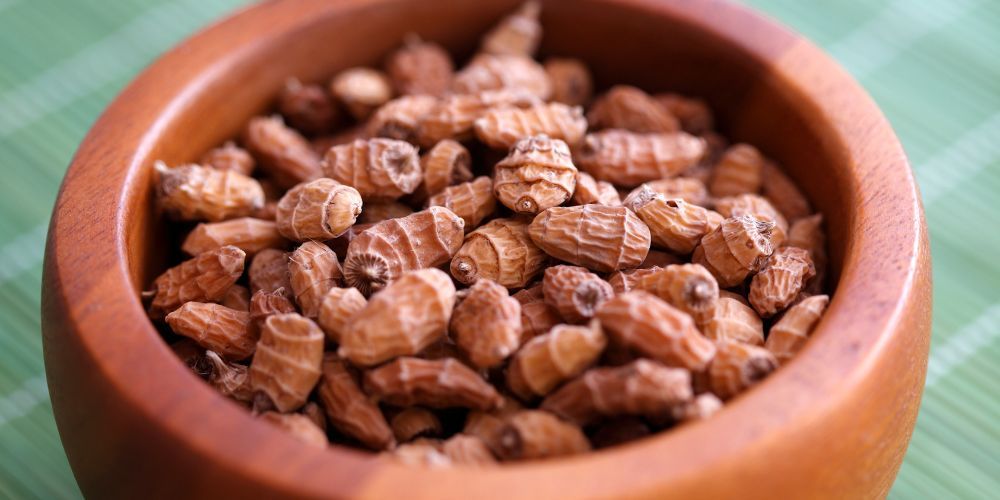 tiger nut