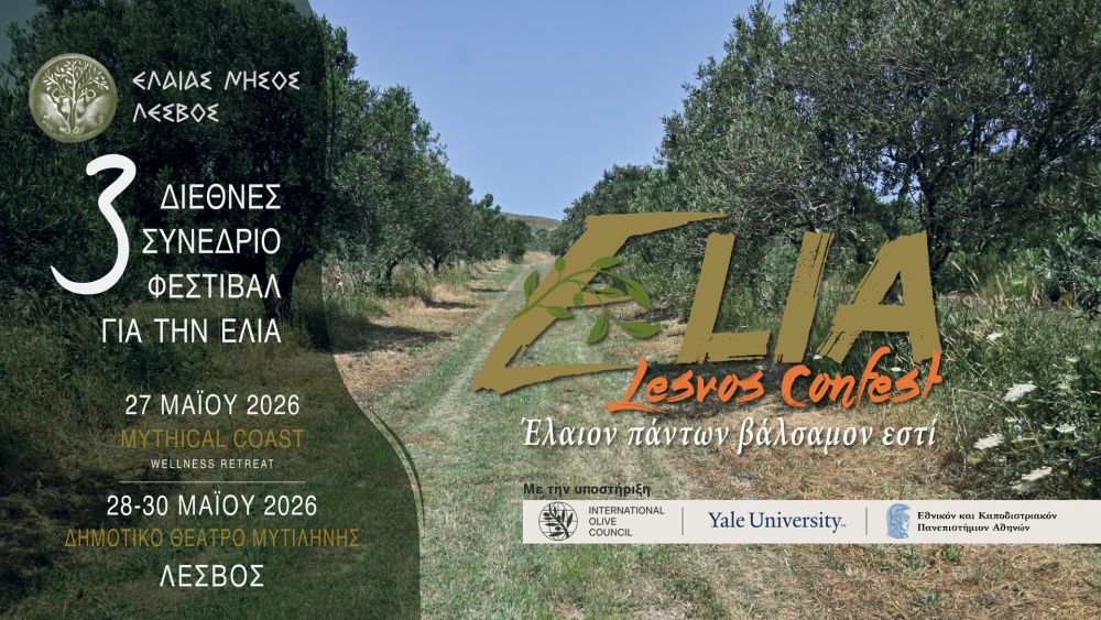 gr synedrio elia sthn lesvo