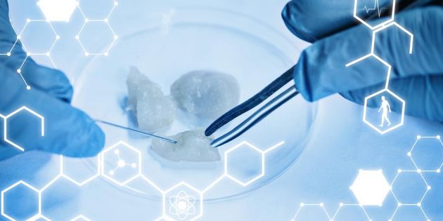 &Tau;&omicron; &kappa;&rho;έ&alpha;&sigmaf; &tau;&omicron;&upsilon; &delta;&omicron;&kappa;&iota;&mu;&alpha;&sigma;&tau;&iota;&kappa;&omicron;ύ &sigma;&omega;&lambda;ή&nu;&alpha;