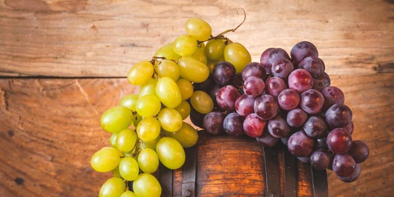 &Tau;&omicron; &sigma;&tau;&alpha;&phi;ύ&lambda;&iota;, &eta; &Beta;&rho;ώ&sigma;&eta; &tau;&omega;&nu; &Theta;&epsilon;ώ&nu;