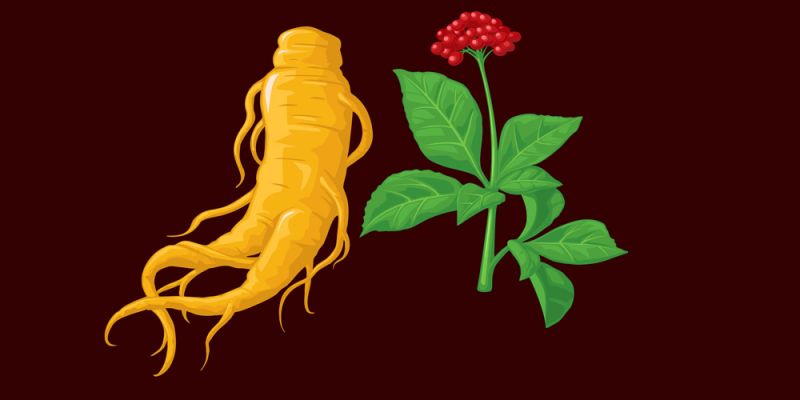 Τζίνσεγκ (Panax Ginseng)