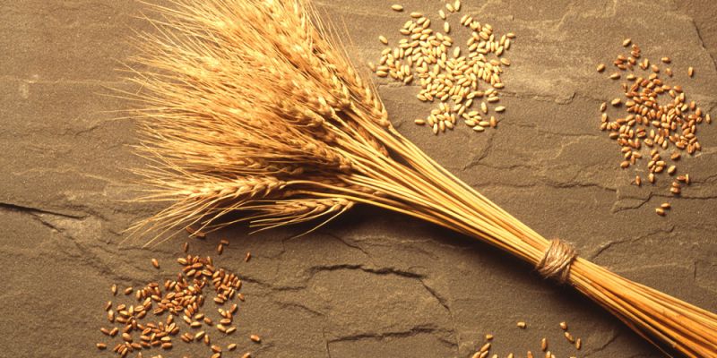 &Beta;ά&lambda;&tau;&epsilon; &tau;&omicron; &psi;&omega;&mu;ί &kappa;&alpha;&iota; &tau;&alpha; &delta;&eta;&mu;&eta;&tau;&rho;&iota;&alpha;&kappa;ά &sigma;&tau;&eta; &zeta;&omega;ή &sigma;&alpha;&sigmaf;