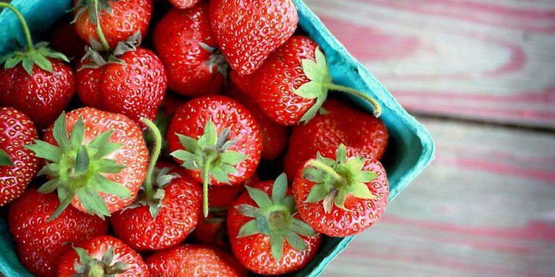 &Beta;&iota;&tau;&alpha;&mu;ί&nu;&eta; C: &Delta;&epsilon;&nu; &pi;&epsilon;&rho;&iota;έ&chi;&epsilon;&tau;&alpha;&iota; &mu;ό&nu;&omicron; &sigma;&tau;&omicron; &pi;&omicron;&rho;&tau;&omicron;&kappa;ά&lambda;&iota;