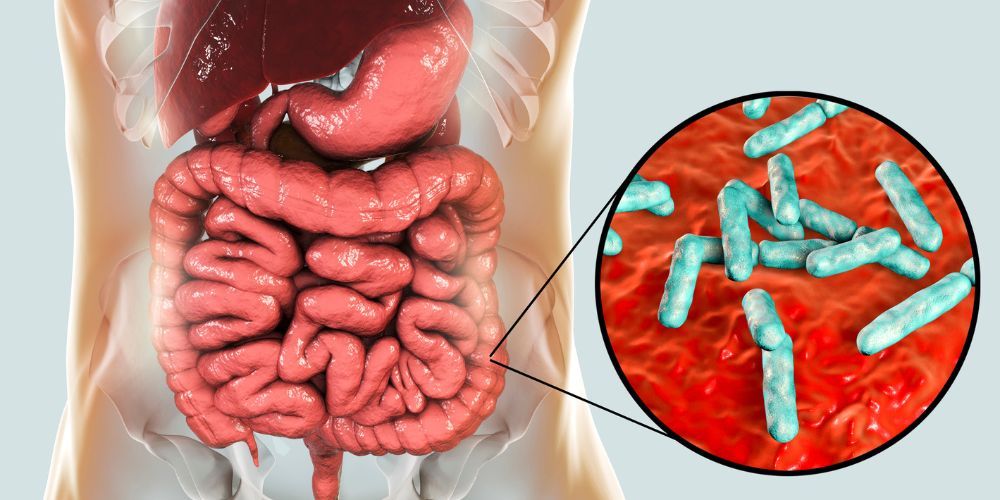 xeimerines ioseis kai mikrovioma pos epireazontai apo diaites xamilon ydatanthrakon